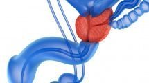 Prostate toys for better health